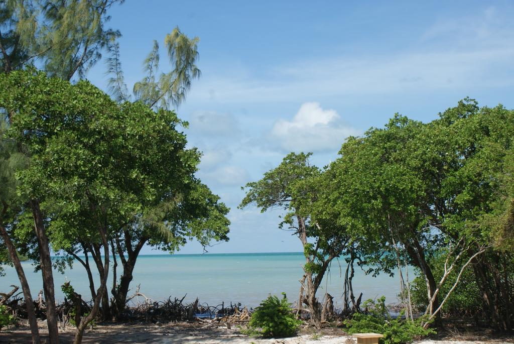 Apartmán Bonita'S Caye Caulker Pokoj fotografie