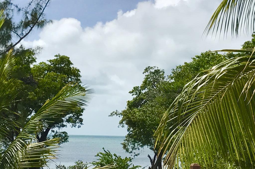 Apartmán Bonita'S Caye Caulker Exteriér fotografie